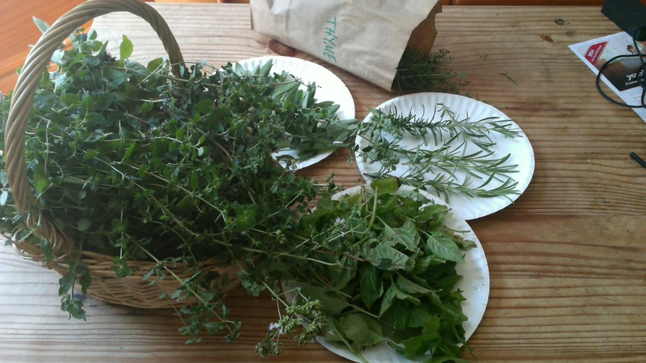 win_20160802_12_26_56_pro