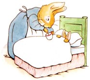 chamomile_peter-rabbit