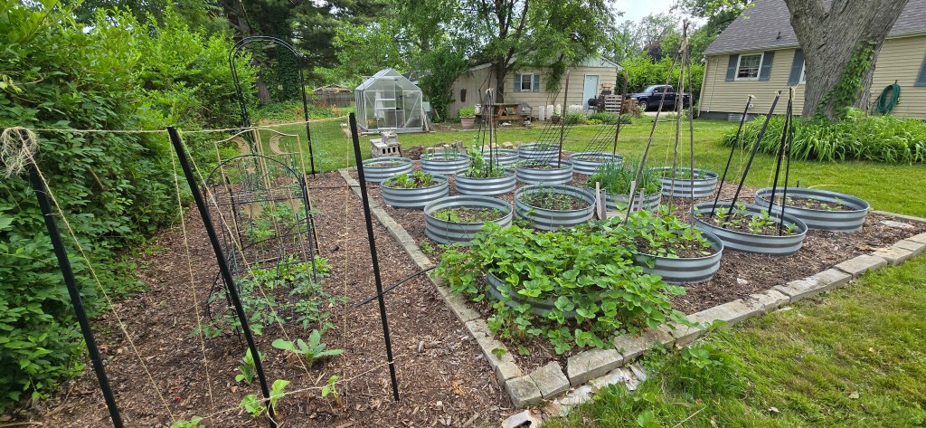 Full photo of backyard raised garden bed with vegetables.