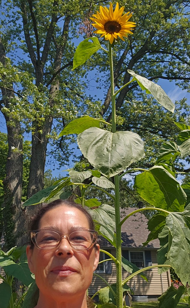photo of happy 48-year-old gardener, woman who is 5'9" tall standing in front of a 7' tall sunflower in full bloom
